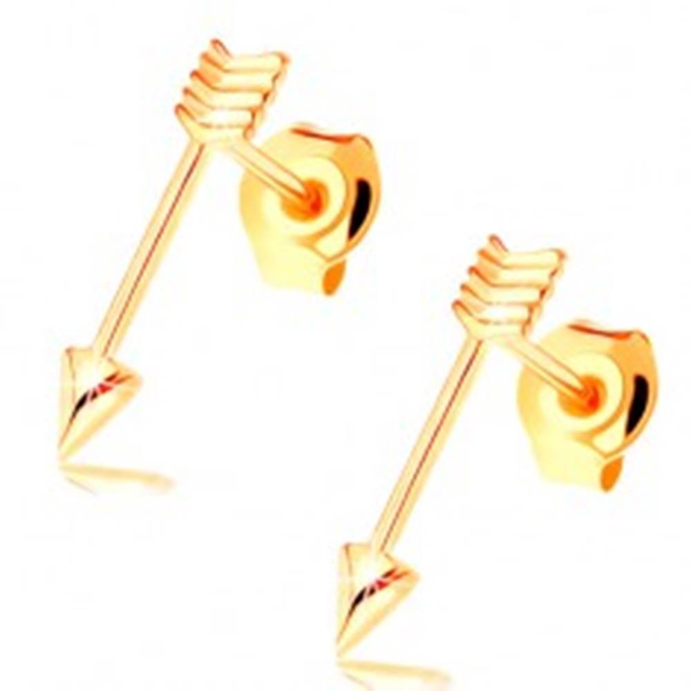 Šperky eshop Zlaté náušnice 585 s puzetovým zapínaním - lesklé tenké šípy
