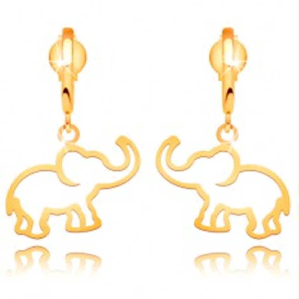 Šperky eshop Náušnice zo žltého 14K zlata - kontúra slona visiaca na lesklom oblúku