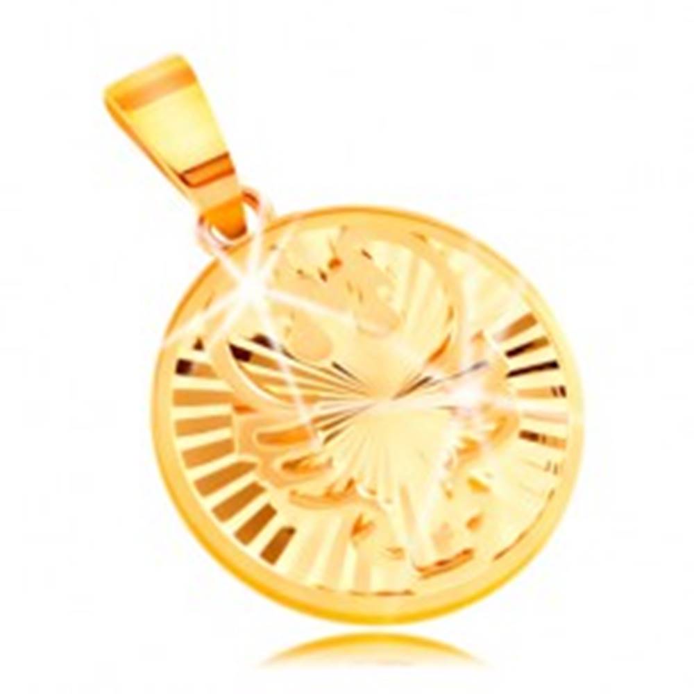 Šperky eshop Prívesok zo žltého 14K zlata - lesklý kruh s lúčovitými zárezmi - RAK