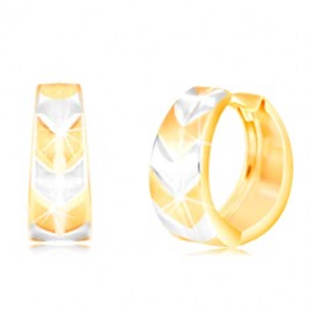 Šperky eshop Okrúhle náušnice v 14K zlate - krúžok s matným dvojfarebným vzorom V