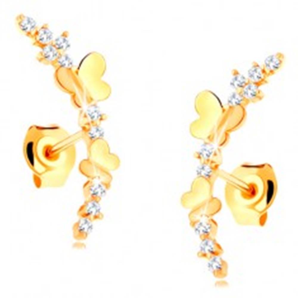 Šperky eshop Náušnice zo žltého 14K zlata - číra zirkónová vetvička, lesklé motýle