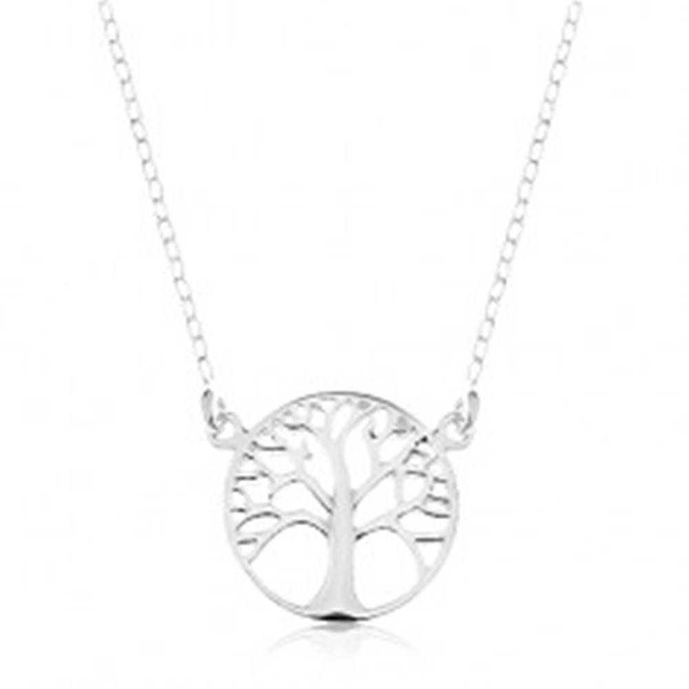 Šperky eshop Strieborný 925 náhrdelník, retiazka a prívesok - lesklý strom života v kruhu